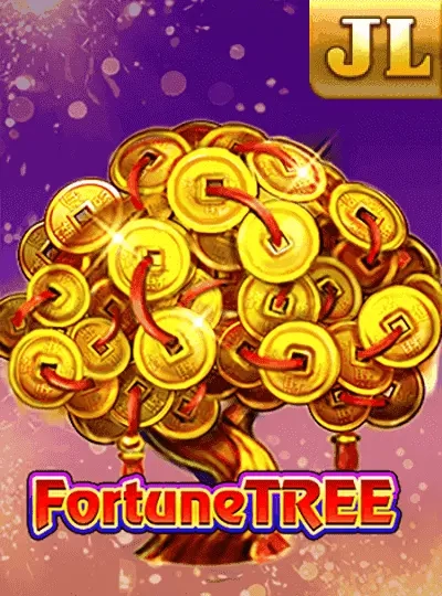 win68 win68